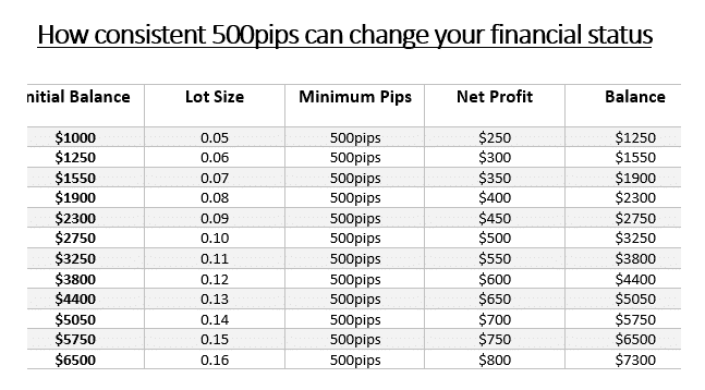 500 pips a month