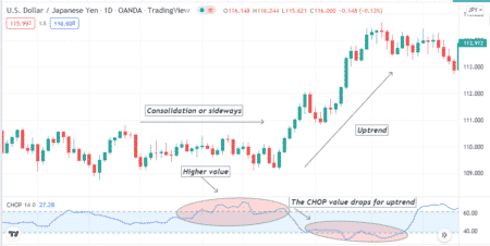 Choppiness Index Indicator: How to Use It Perfectly? • Top FX Managers