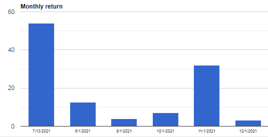 Monthly returns for 2021