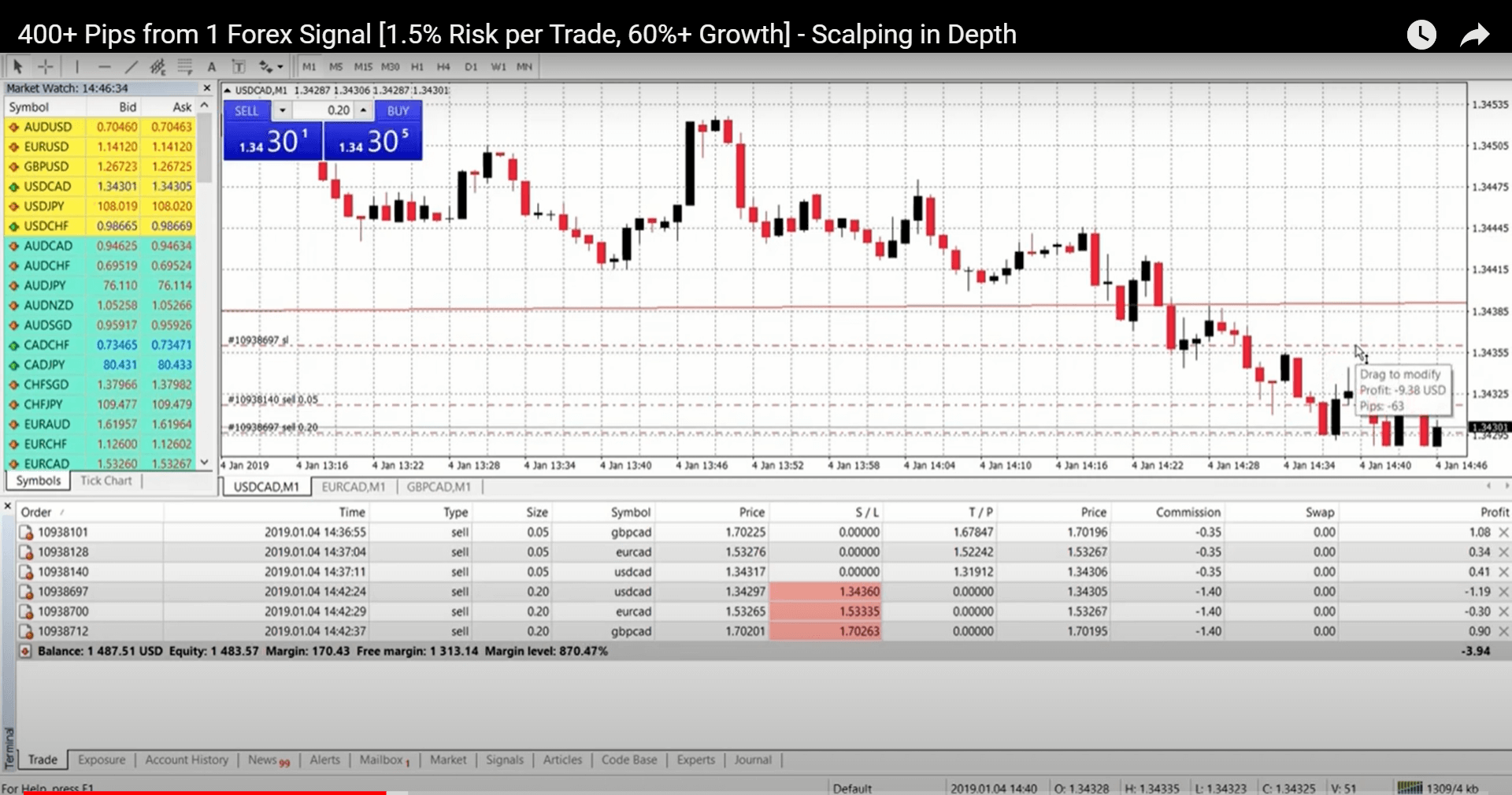 Pips Alert trading results