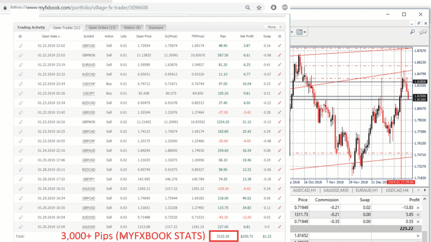 Pips Alert trading results