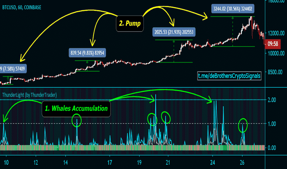 Bitcoin whales